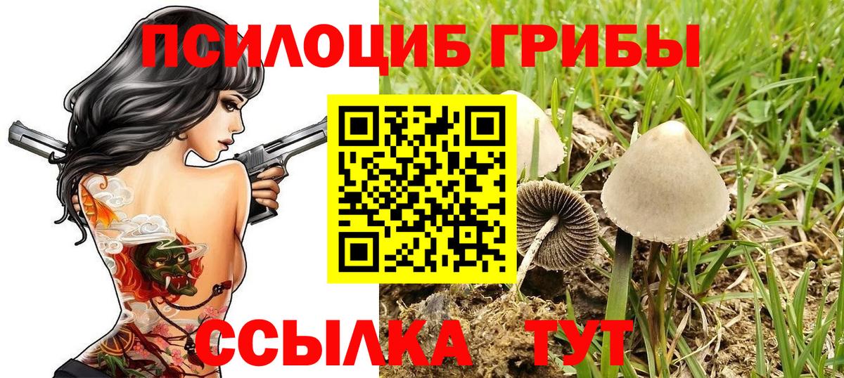 Тихвин  Галлюциногенные грибы GOLDEN TEACHER  Псилоцибиновые грибы Psilocybe  Вход с VPN 