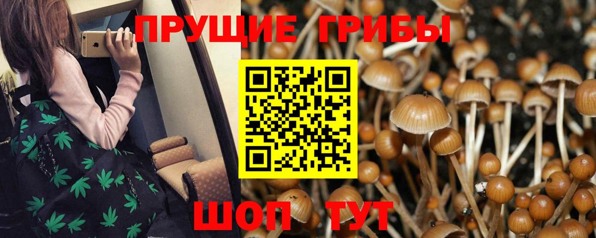 Меф мяу мяу Тихвин